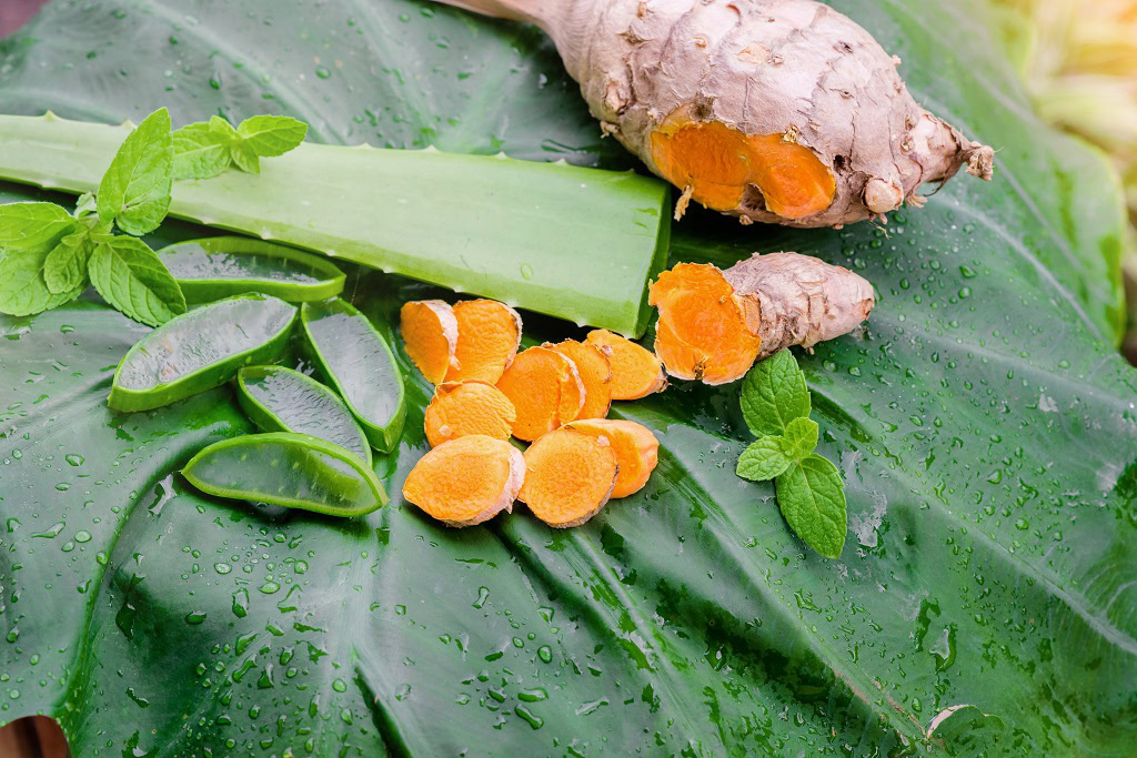 slice-aloe-vera-mint-leaves-turmeric
