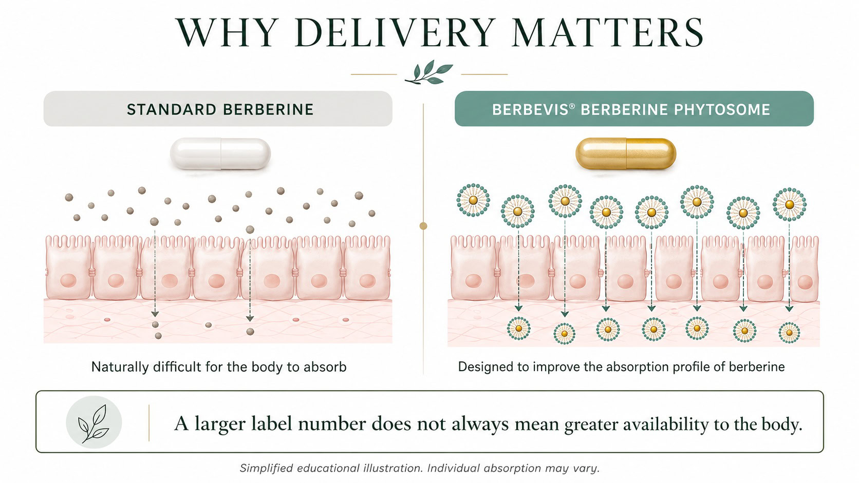 berbevis delivery