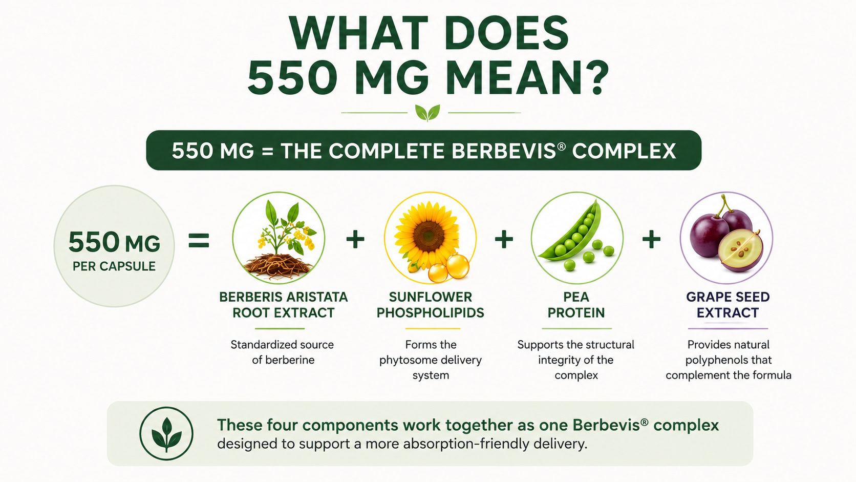 berbevis-550-mg
