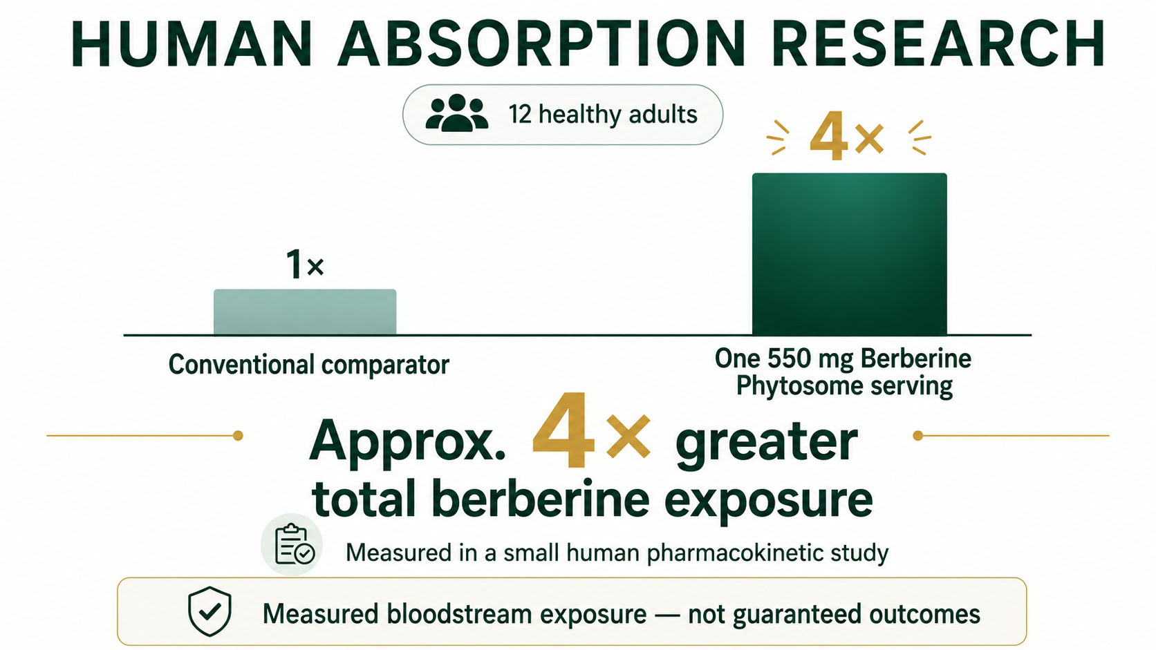 berbevis-human-absorption-research