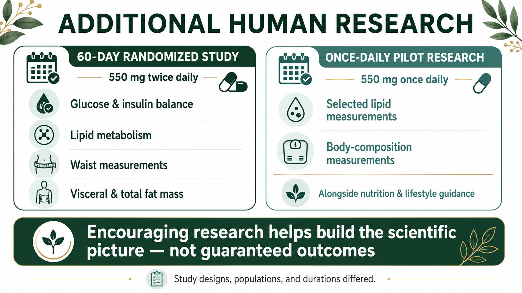 berbevis-additional-human-research